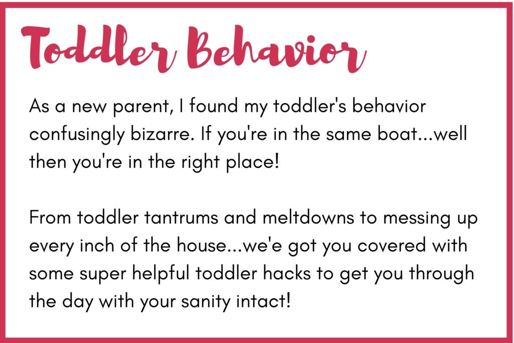 toddler behavior 
