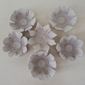 recycled flower craft