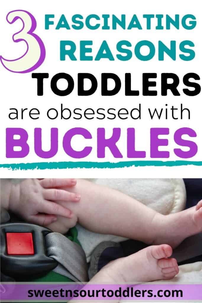 toddler obsessed with buckles